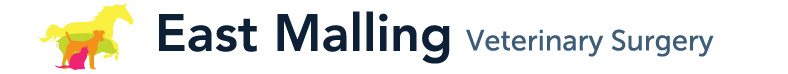 site logo